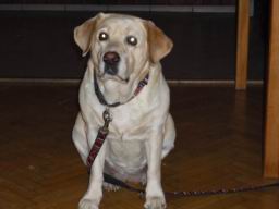 Resize of P1000234.JPG